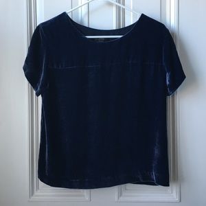 J Crew Velvet Top
