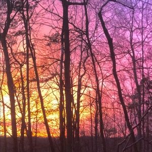 Meet your Posher, Millie