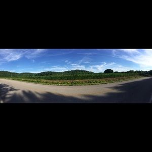 Meet your Posher, Matt