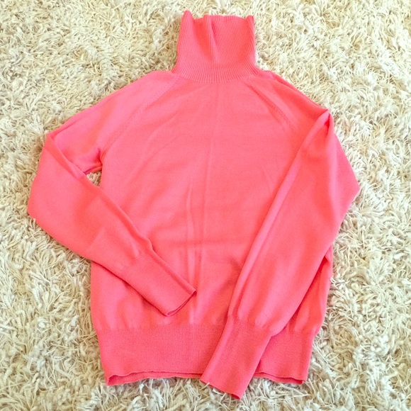 J. Crew Tippi Turtleneck