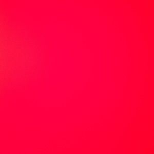 Meet your Posher, Tamara