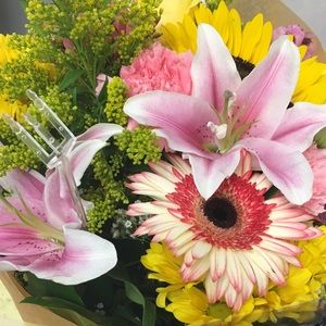 Meet your Posher, Khadija