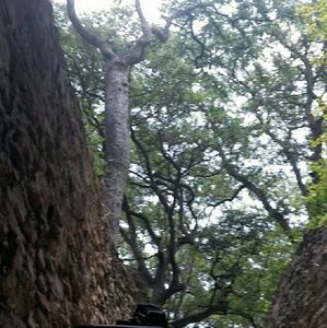 Meet your Posher, Laporchia