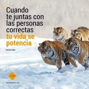 Meet your Posher, Jose cordiez