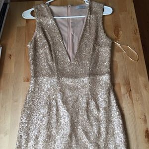 Tobi sequin plunging neck line dress