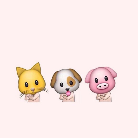 Meet your Posher, Lulu - Picture 2 of 2