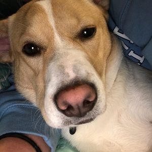 Meet your Posher, Kristen