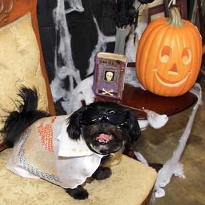 Meet your Posher, Lillian