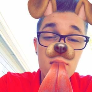 Meet your Posher, Lukis