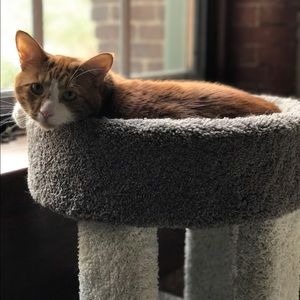 Meet your Posher, Cherie