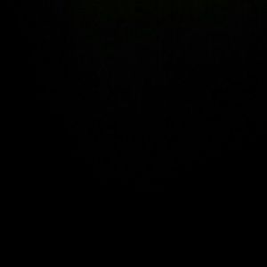 Meet your Posher, Malachi