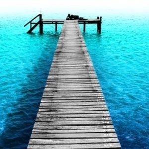 Meet your Posher, Lydia