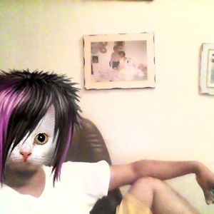 Meet your Posher, Rumen fey