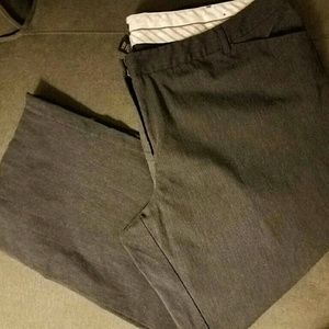 Lane Bryant pants