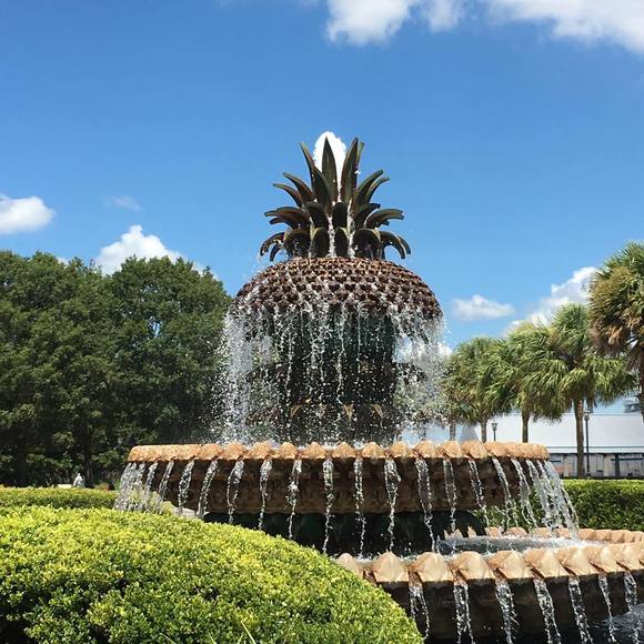 Meet your Posher, Julie