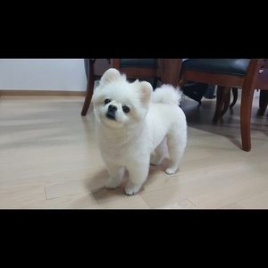 Meet your Posher, Hyunah