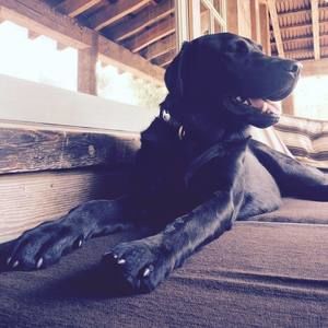 Meet your Posher, Meghan