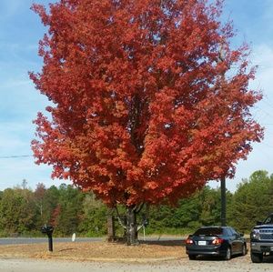 Meet your Posher, Seth