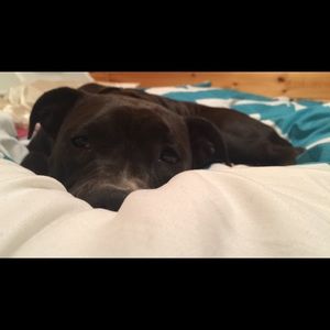 Meet your Posher, Summer