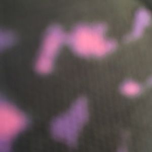 Meet your Posher, Bridget