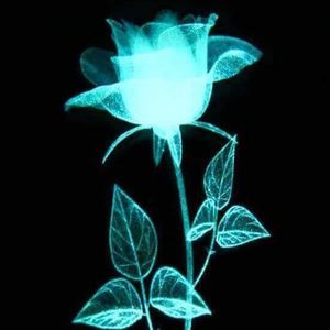 Meet your Posher, Lovee