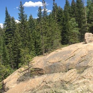 Meet your Posher, Alec