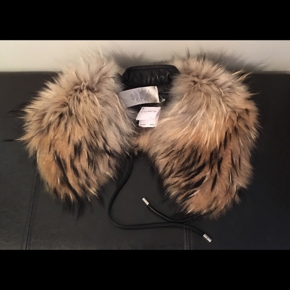 Coach Finn Raccoon Tie Fur Scarf NWT $598