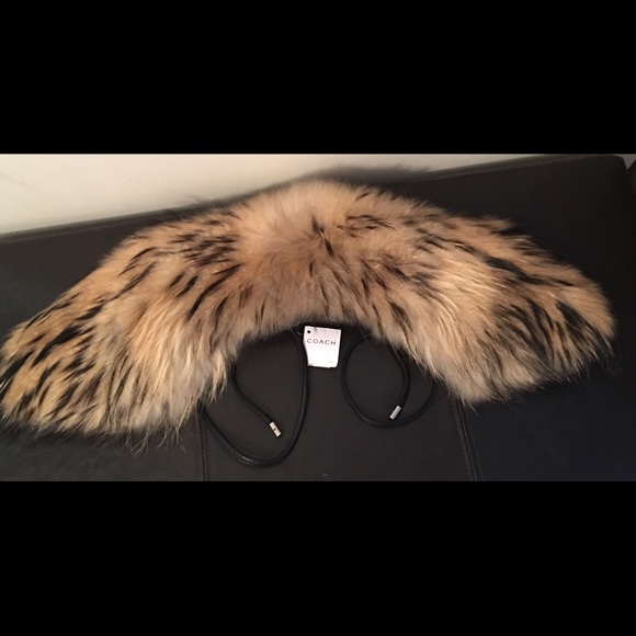 Coach Finn Raccoon Tie Fur Scarf NWT $598