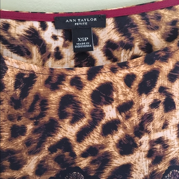 Ann Taylor XSP top - Picture 2 of 4