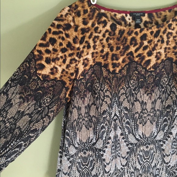 Ann Taylor XSP top - Picture 3 of 4