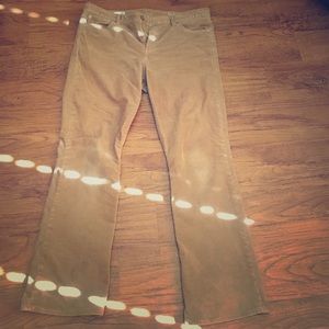 Gap bootcut corduroy pants