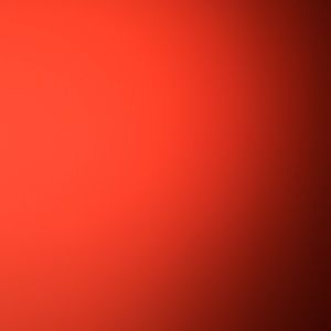 Meet your Posher, Rosa