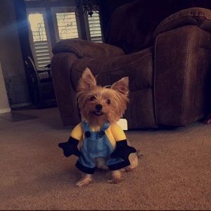 Meet your Posher, Melissa