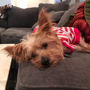 Meet your Posher, Kelli