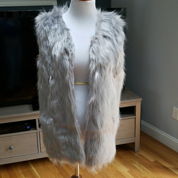 HP🎉Silver/Grey Faux Fur Vest - Picture 4 of 7