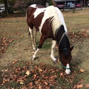 Meet your Posher, Regina