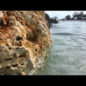 Meet your Posher, Pete