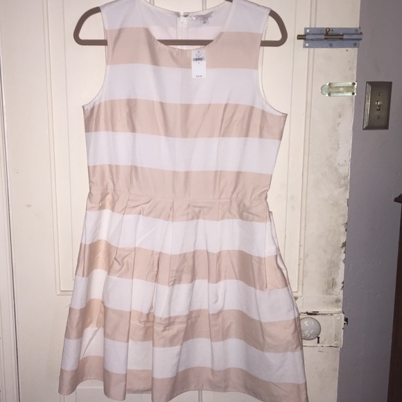 New gap dress