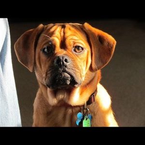 Meet your Posher, Vicki