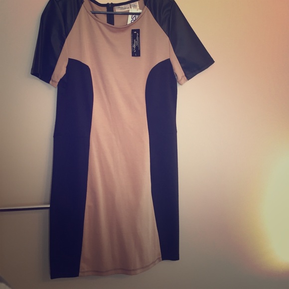 NWT Allison and Brittany bodycon dress