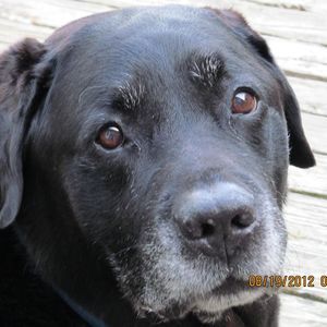 Meet your Posher, Judy