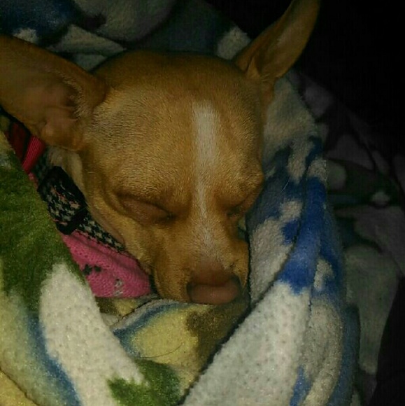 Meet your Posher, Joselyn - Picture 1 of 1