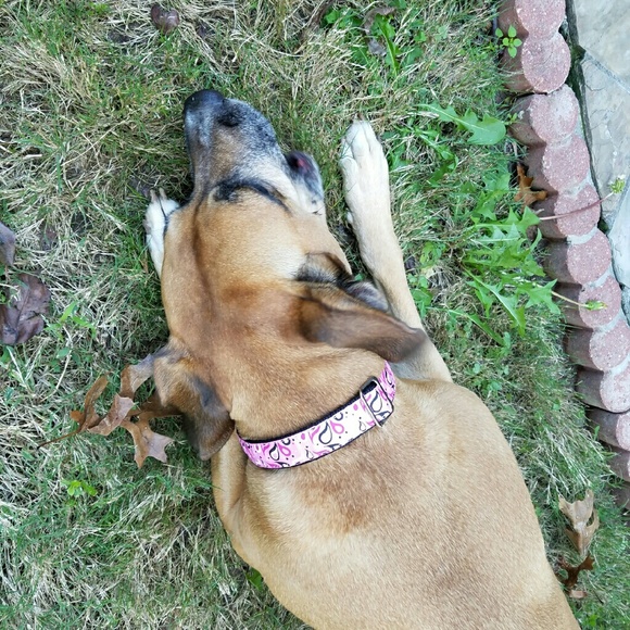 Meet your Posher, Cary