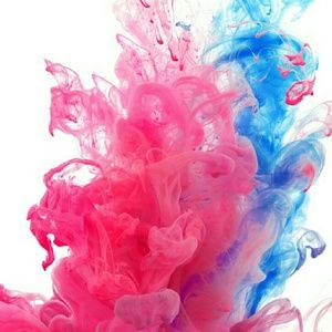 Meet your Posher, Noah