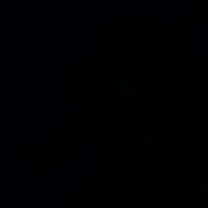 Meet your Posher, Whitley