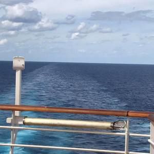 Meet your Posher, Dee