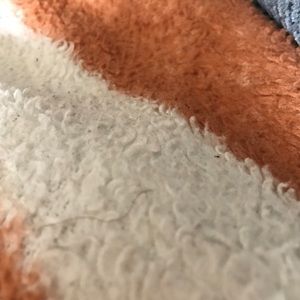 Meet your Posher, Johnna