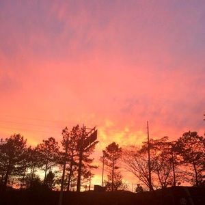 Meet your Posher, Phedra