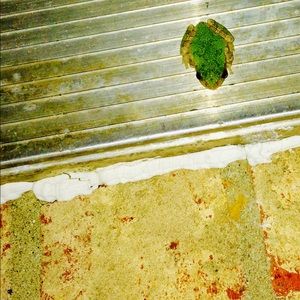 Meet your Posher, Violet