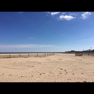 Meet your Posher, Robin